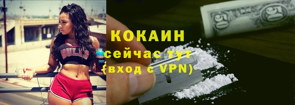 ГАЛЛЮЦИНОГЕННЫЕ ГРИБЫ Заводоуковск