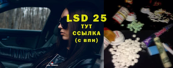 ГАЛЛЮЦИНОГЕННЫЕ ГРИБЫ Заводоуковск