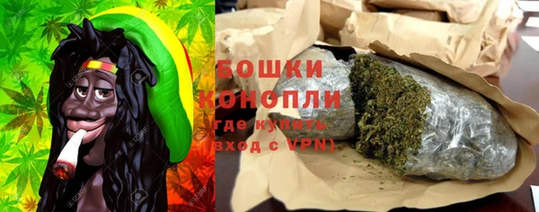 ГАЛЛЮЦИНОГЕННЫЕ ГРИБЫ Заводоуковск