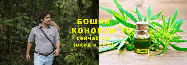 ГАЛЛЮЦИНОГЕННЫЕ ГРИБЫ Заводоуковск