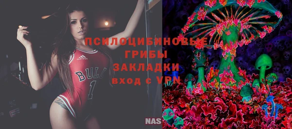 apvp Зеленокумск